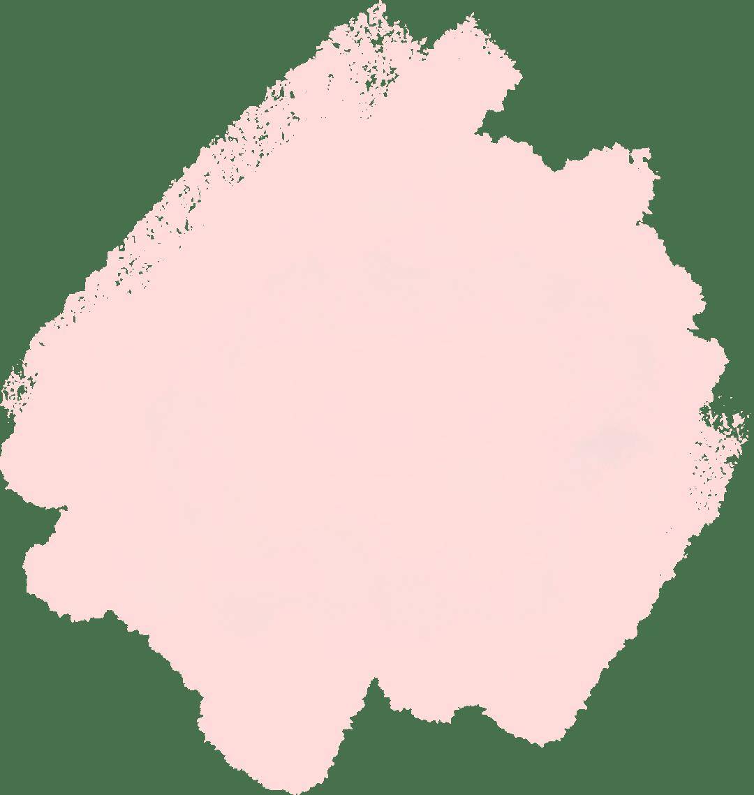 见面会精彩集锦新鲜出炉!