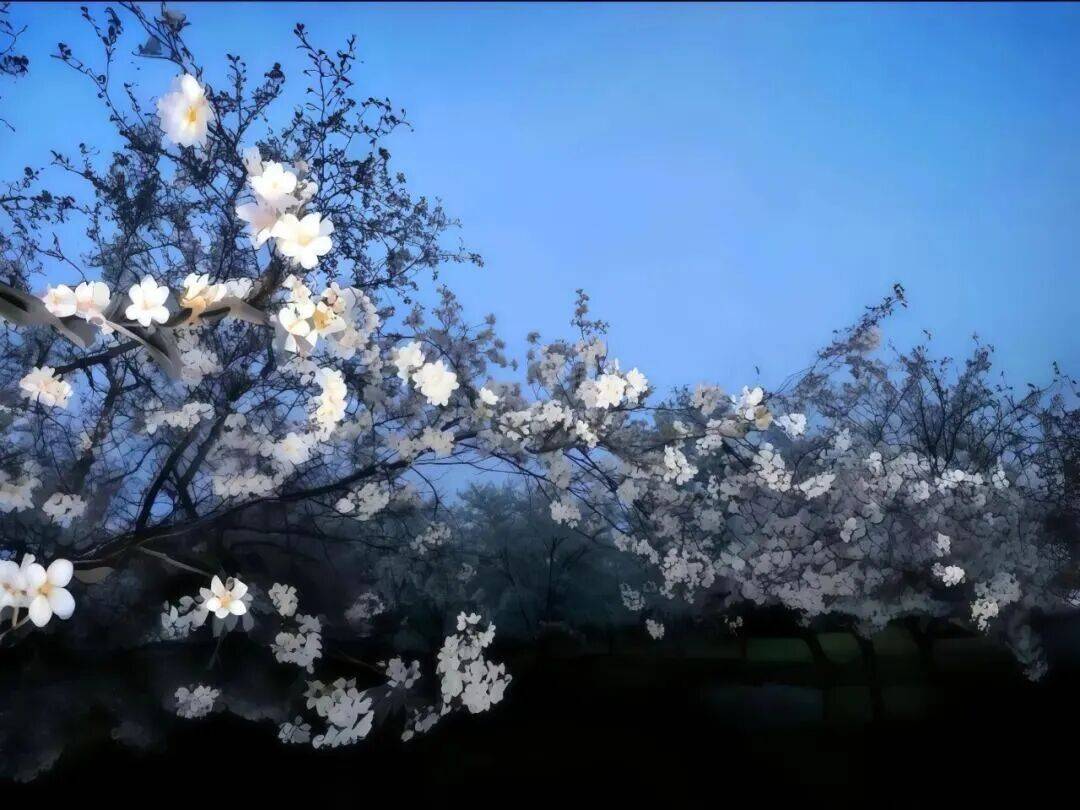 平板壁纸｜4K高清ipad电脑壁纸50张直接存