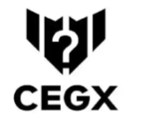 zh-cn-zgzcw.com favicon